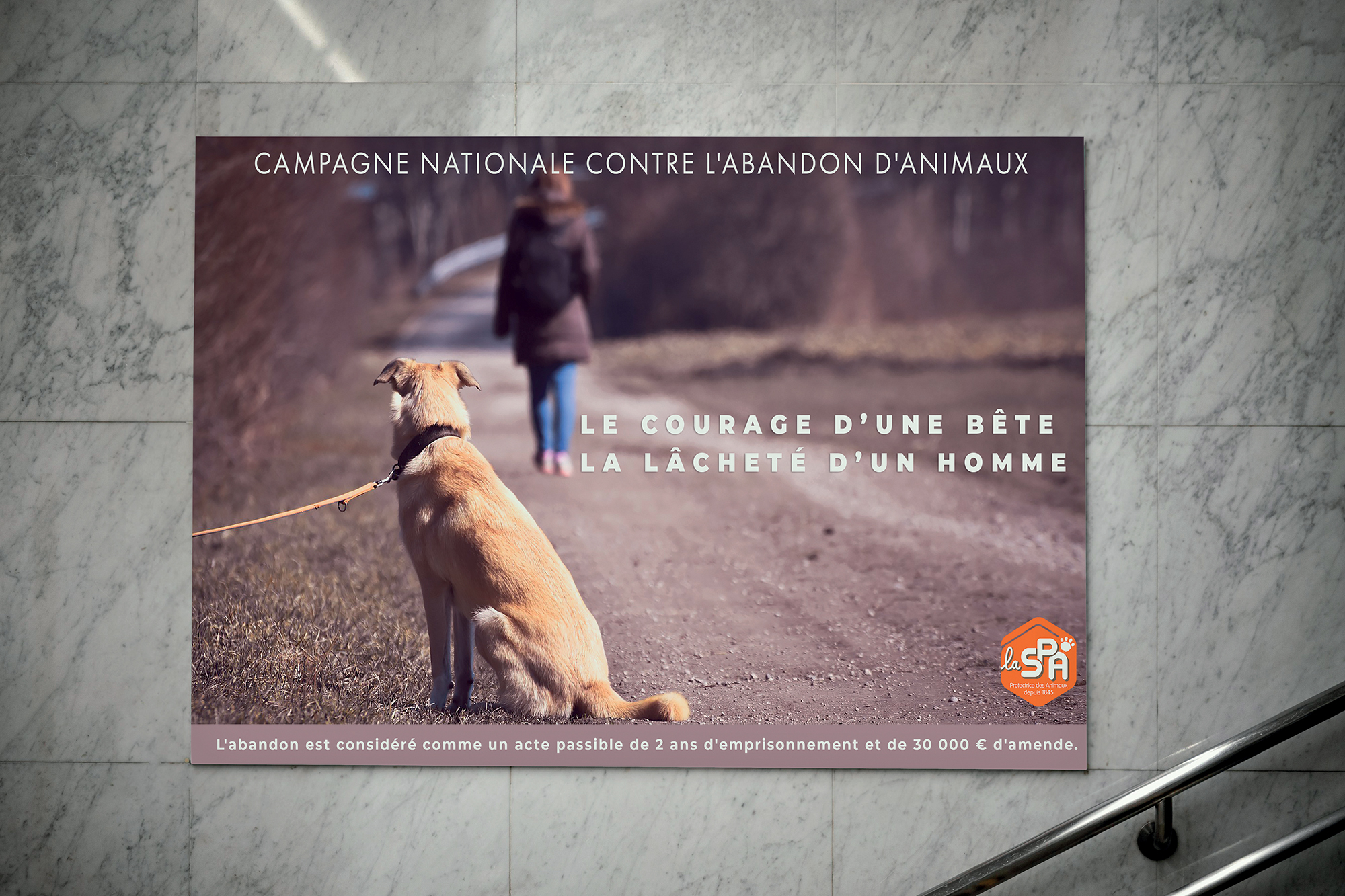 Campagne contre l'abandon d'animaux