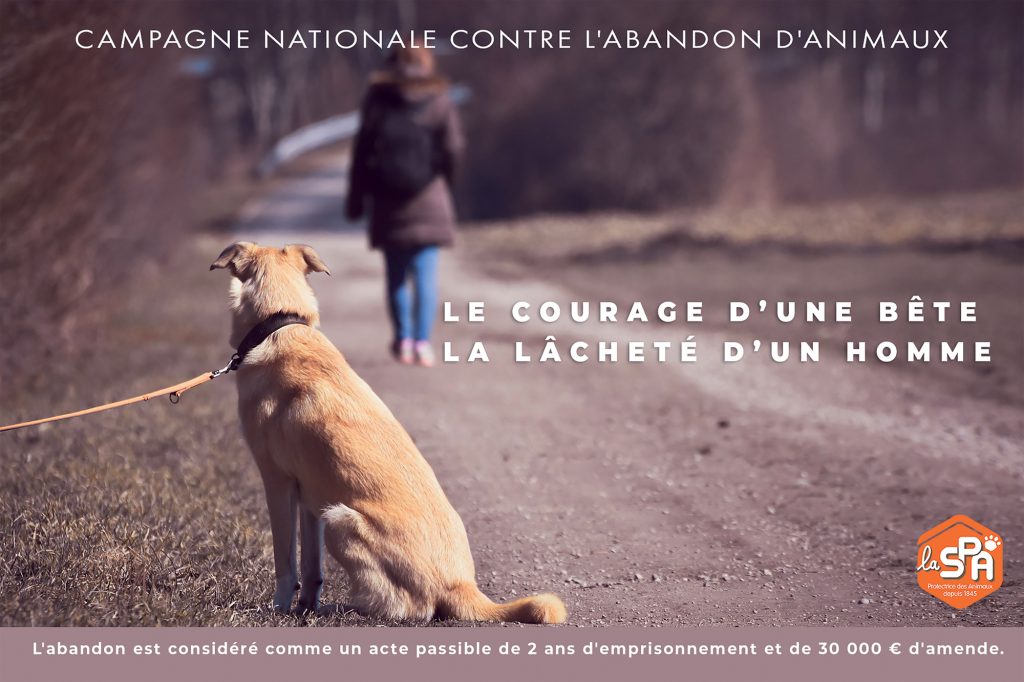 Campagne contre l'abandon d'animaux