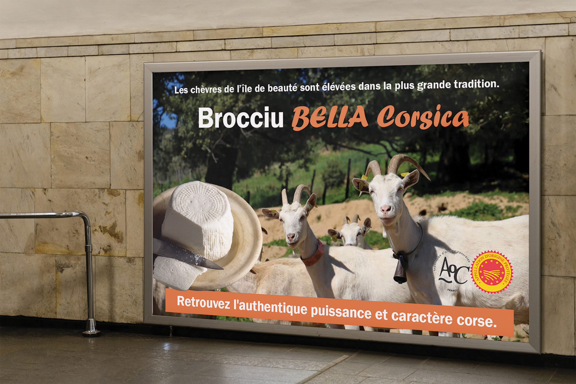 affiche Publicitaire fromage corse corsica chèvre brebis