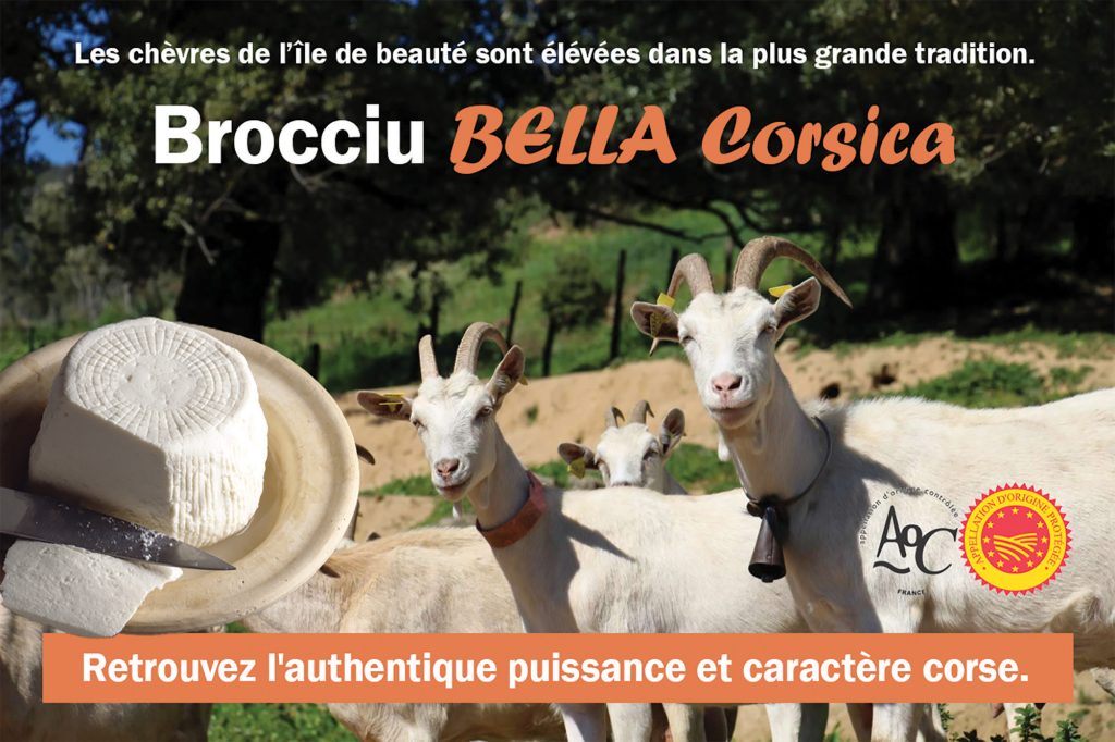 affiche Publicité fromage corse corsica chèvre brebis